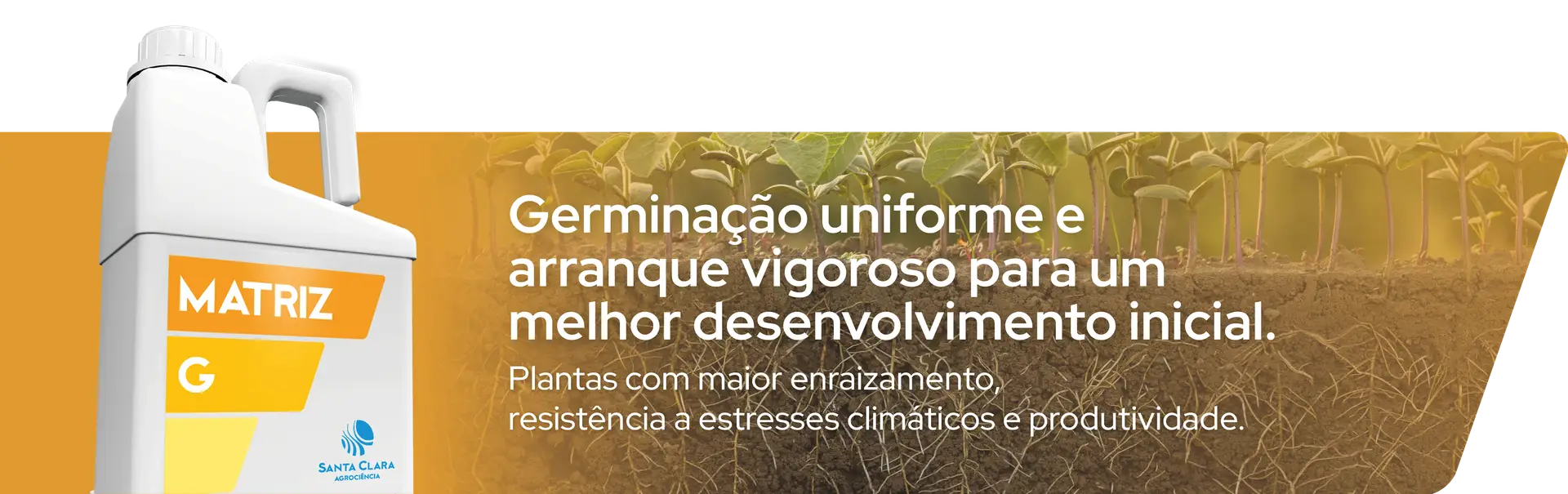 Culturas - Soja